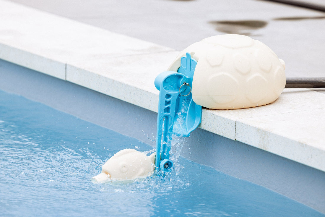 Exciting News: Top-Up Turtle Shines in Gadget Glimpse Feature!